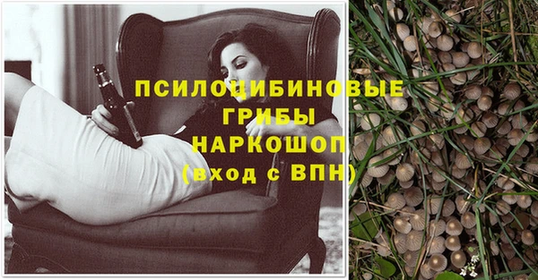 ешки Алексин