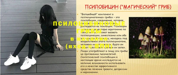 амф Алзамай