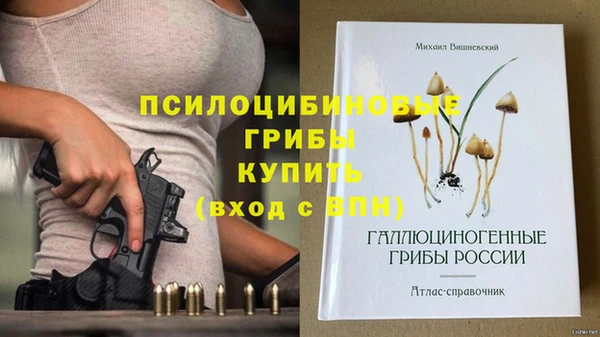 ALPHA PVP Алексеевка