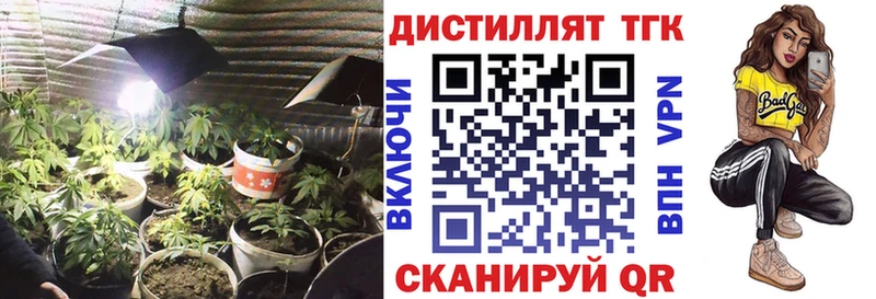 ТГК концентрат Жуковка