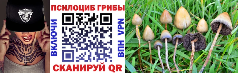 закладка Жуковка Псилоцибиновые грибы Magic Shrooms